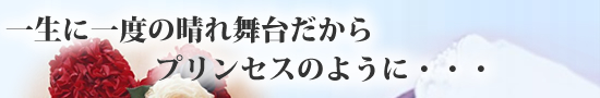�ꐶ�Ɉ�x�̐��ꕑ�䂾����v�����Z�X�̂悤�ɁE�E�E